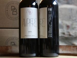 AOP Gaillac "Amphore"