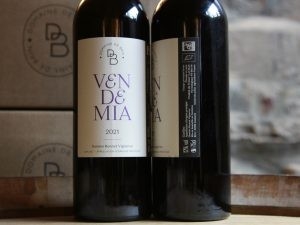 AOP Gaillac "Vendemia"